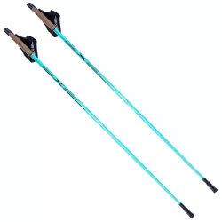 Kijki EXEL Nordic Trainer QR turkusowo-czarne