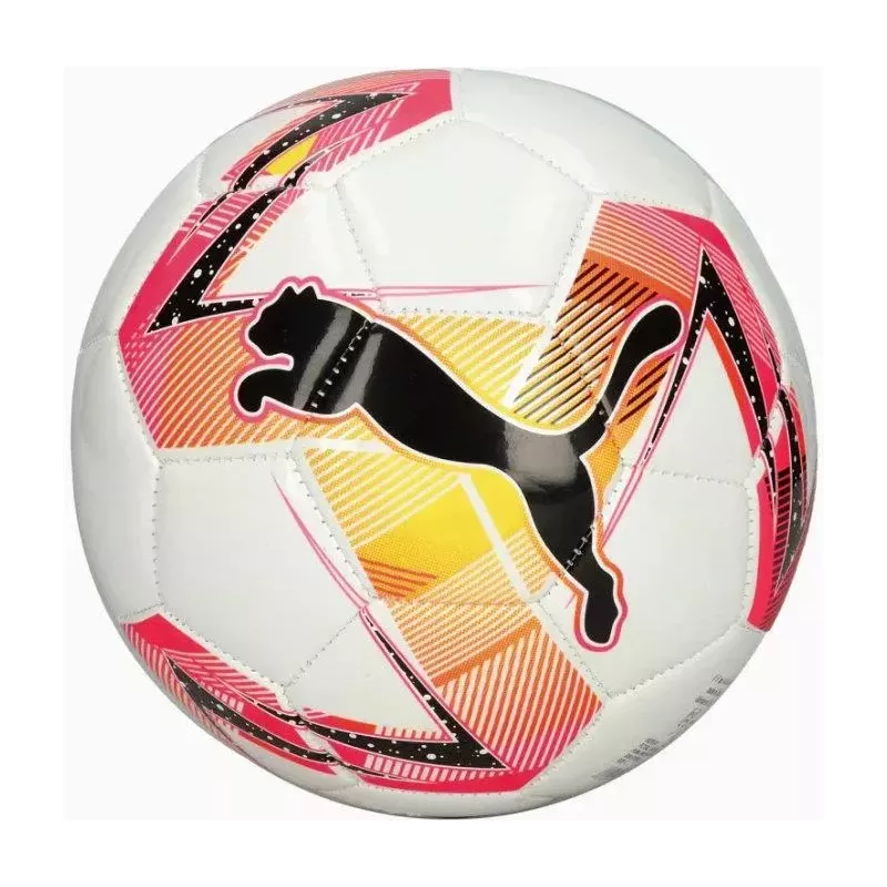 Piłka nożna PUMA MS futsal 83765-01