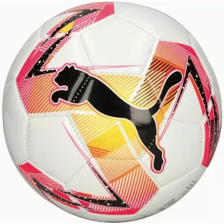 Piłka nożna PUMA MS futsal 83765-01