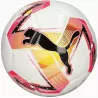 Piłka nożna PUMA MS futsal 83765-01