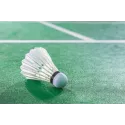 Badminton